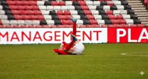 Sassco v Sassco at the Stadium of Light – 28th May 2026 Sassco v Sassco at the Stadium of Light – 28th May 2026